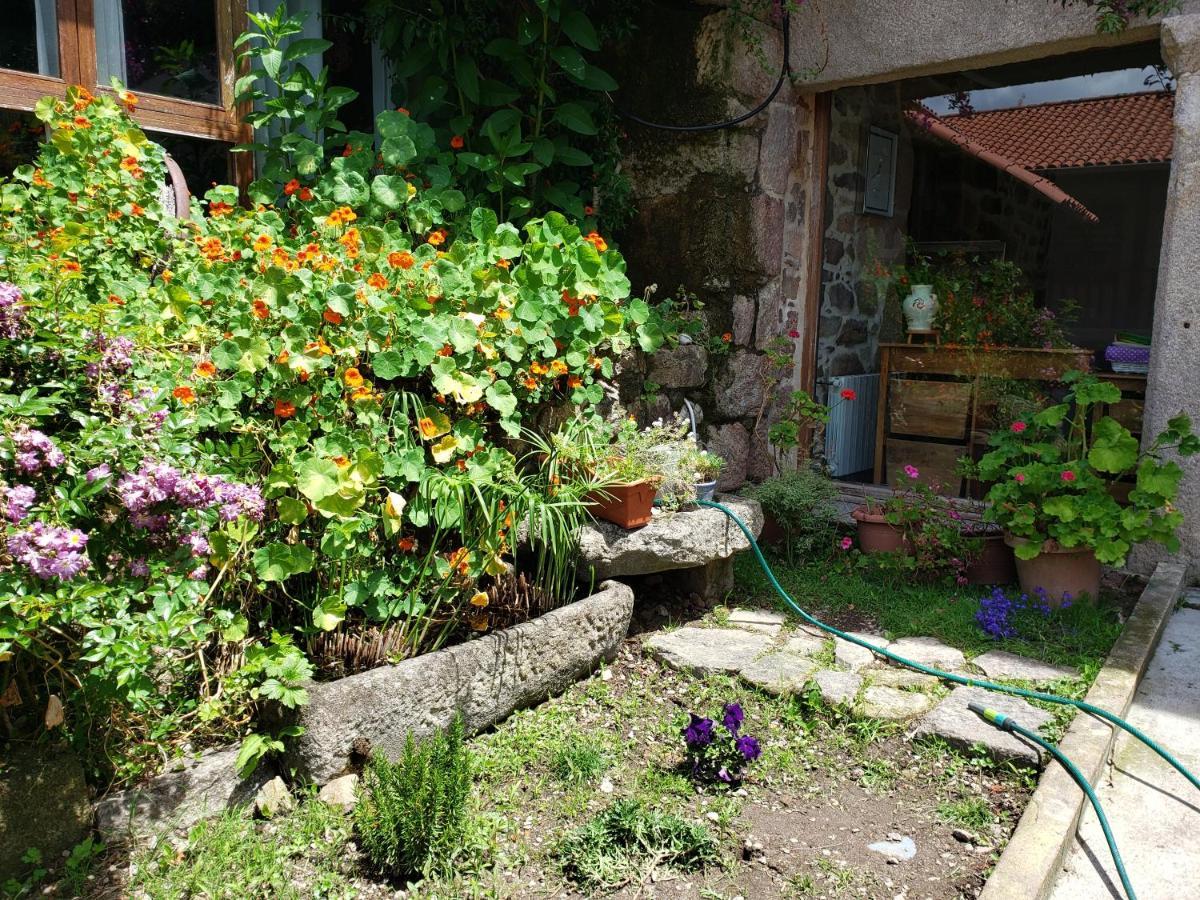 Casa Rural Do Fontan Guest House Pontevedra Exterior photo